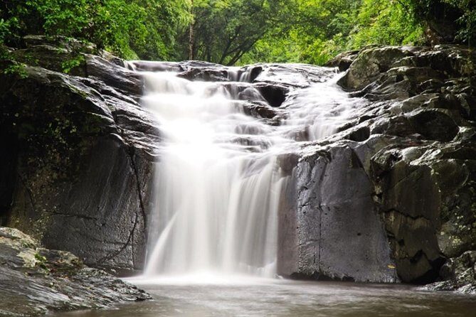 Pala U Waterfall in Kaeng Krachan Jungle with Private Guide from Hua Hin - Key things I’d zero in on before you go