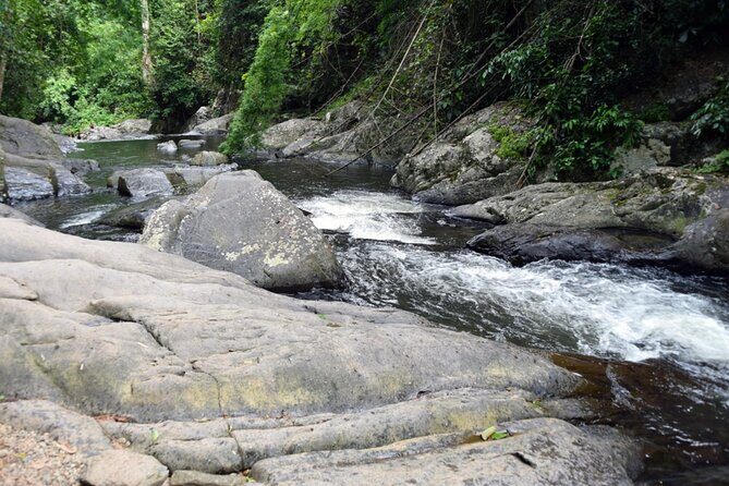 Pala U Waterfall in Kaeng Krachan Jungle with Private Guide from Hua Hin - Lunch, water, and timing for a full day