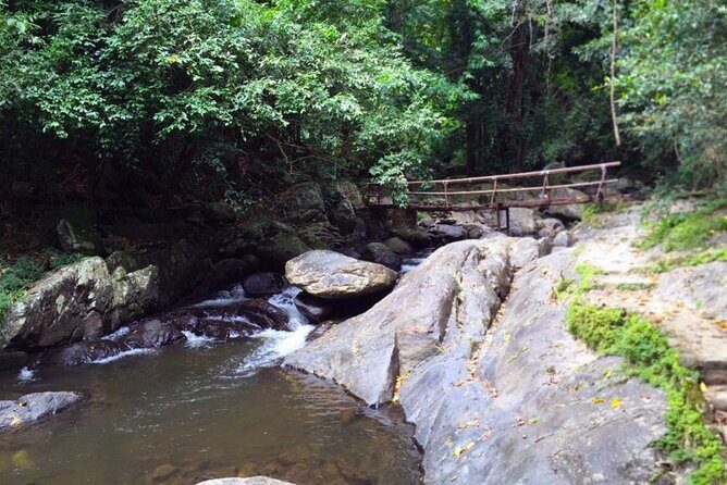 Pala U Waterfall in Kaeng Krachan Jungle with Private Guide from Hua Hin - Private guide benefits: getting the best views without stress