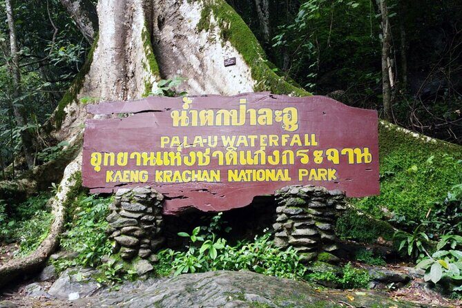 Pala U Waterfall in Kaeng Krachan Jungle with Private Guide from Hua Hin - Who this suits (and who should think twice)