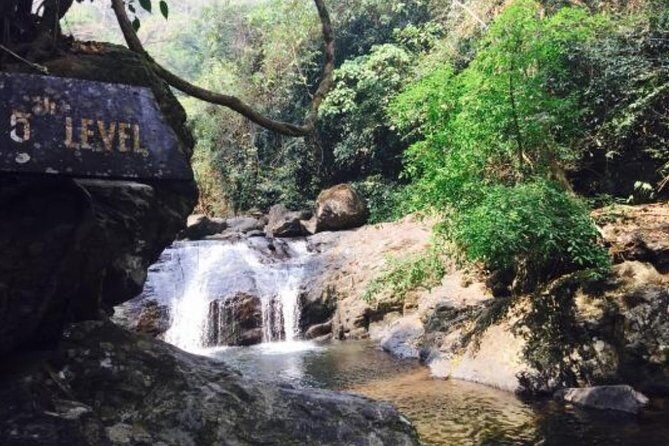 Pala U Waterfall in Kaeng Krachan Jungle with Private Guide from Hua Hin - On the way: wildlife crossings and how to spot them safely