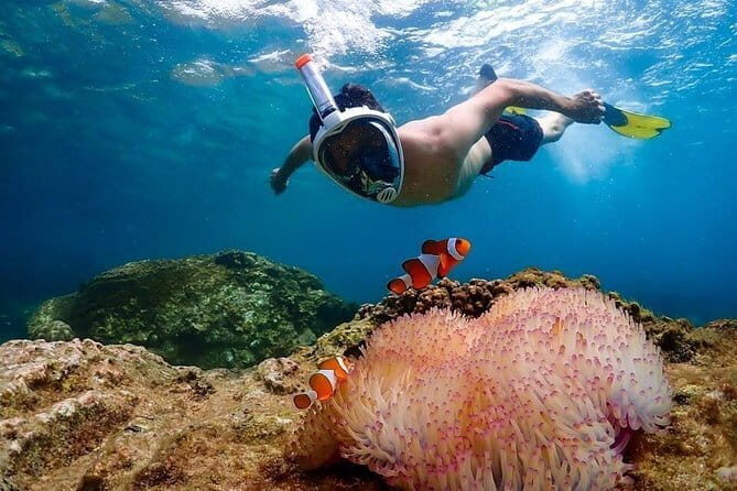 Pattaya Coral Island Tour with Indian Lunch and Hotel Transfer - Koh Larn island time: beach chair, swimming, and paid add-ons