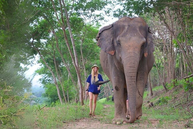 Pattaya Discovery Tour with Floating Market - What This Tour Costs, and Why It Can Be Good Value