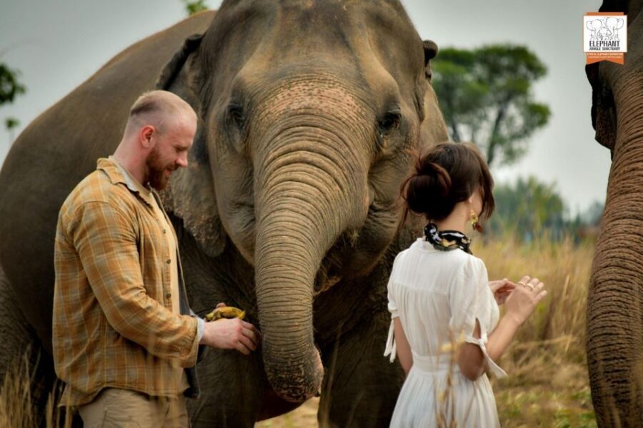 Pattaya: Elephant Jungle Sanctuary Feeding Experience - Pattaya Elephant Jungle Sanctuary Feeding: What You’re Really Paying For