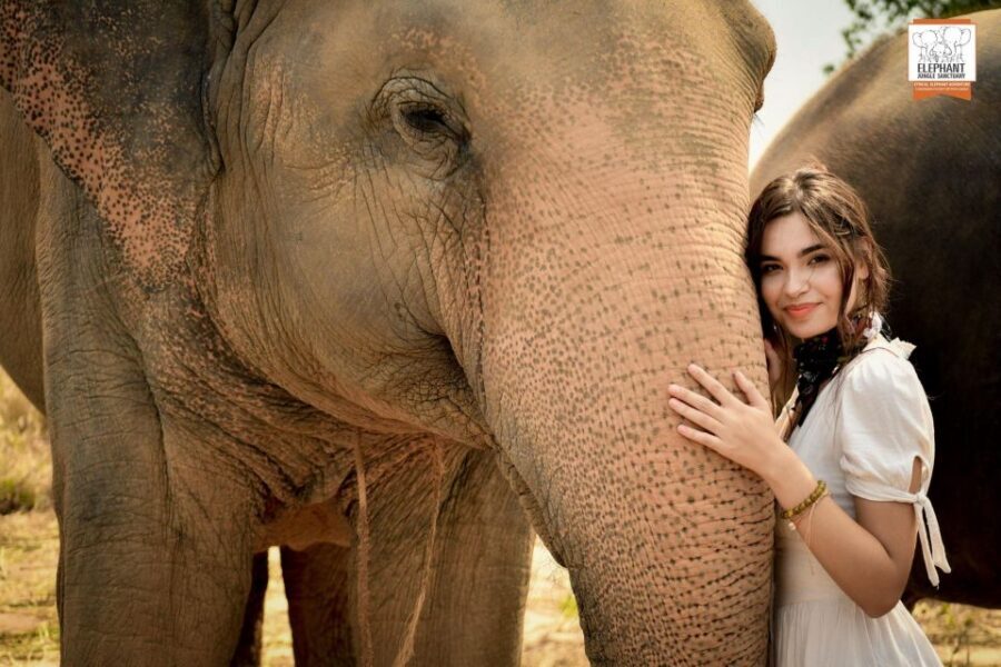 Pattaya: Elephant Jungle Sanctuary Feeding Experience - Touch, Photos, and the Moments That Go Beyond Just Feeding