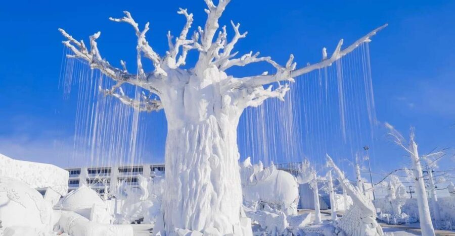 Pattaya: Frost Magical Ice of Siam Entry Ticket - Frost Magical Ice of Siam: A Cold World in Pattaya