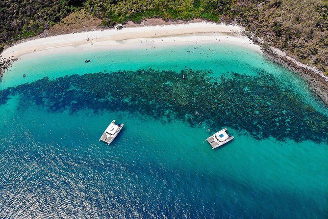 Pattaya Full-Day 3 Tropical Island tour Snorkeling Cruise Buffet - Monkey Island on Koh Ped: why it’s a highlight (and how to handle it)