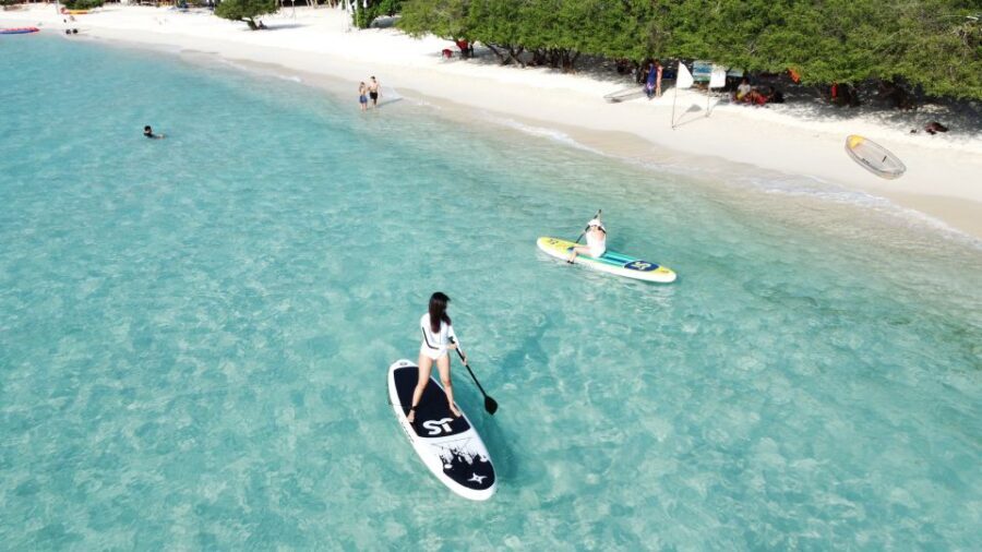 Pattaya Island Trip With Drone Photo and lunch,Nature Beach - Feeding island geese with your guide: a small nature moment that sticks