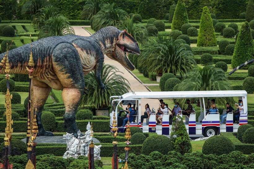 Pattaya: Nong Nooch Tropical Garden Ticket for Foreigners - Cycad Gene Bank: The Science Side That Adds Real Meaning