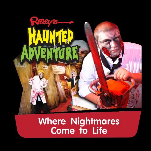 Pattaya: Ripley’s Believe It or Not! Entry Ticket - Price and Value: Why $11 Can Feel Great or Disappointing