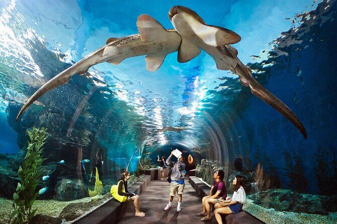 Pattaya Underwater World Admission Ticket - Key highlights at a glance