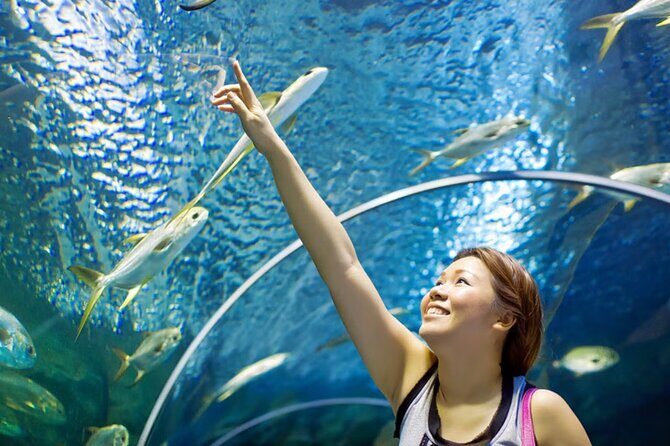 Pattaya Underwater World Admission Ticket - Five themed zones and what they mean for your visit