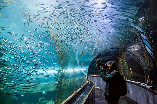 Pattaya Underwater World Admission Ticket - Touch pool: the hands-on part people remember