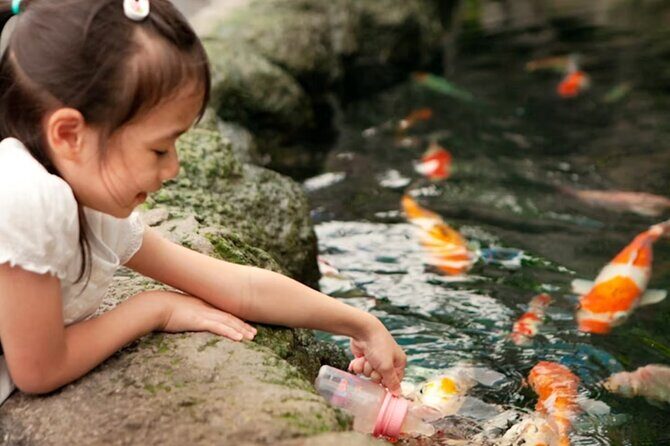 Pattaya Underwater World Admission Ticket - Price and value: what $10.44 gets you