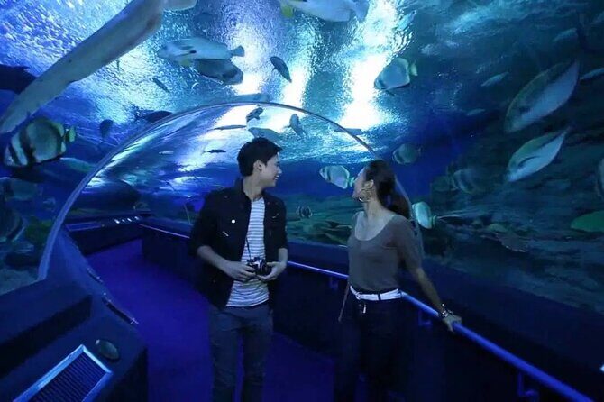 Pattaya Underwater World Admission Ticket - Jellyfish room: the color-and-light change you’ll notice