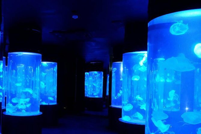 Pattaya Underwater World - Discover Ocean Treasures - Pattaya Underwater World: a simple indoor win on Sukhumvit Road