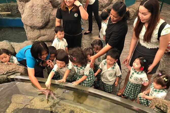 Pattaya Underwater World - Discover Ocean Treasures - Sharks, rays, jellyfish, and the best viewing moments