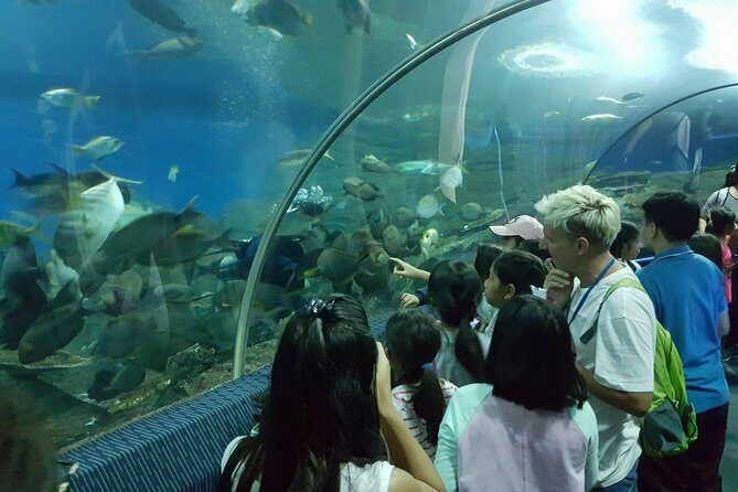 Pattaya Underwater World - Discover Ocean Treasures - The real itinerary: how to pace the visit in 1 to 10 hours