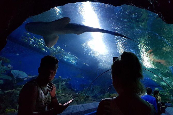Pattaya Underwater World - Discover Ocean Treasures - Walking the glass-domed observation tunnel