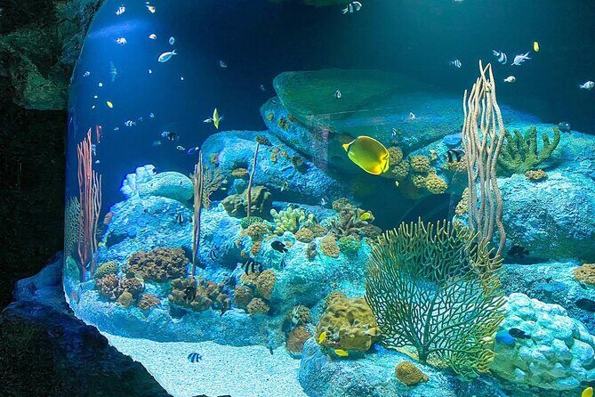 Pattaya Underwater World Tickets with Optional Hotel Pickup - Ray Pool and the pools that make it feel hands-on