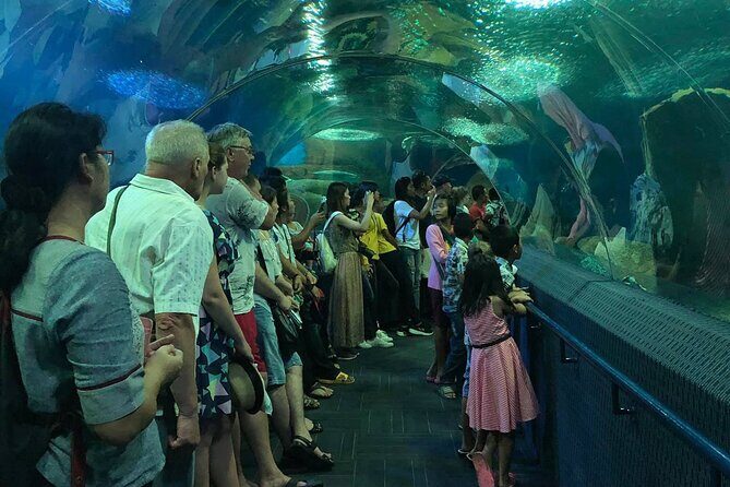 Pattaya Underwater World Tickets with Optional Hotel Pickup - Koi pond feeding: a kid-friendly reset