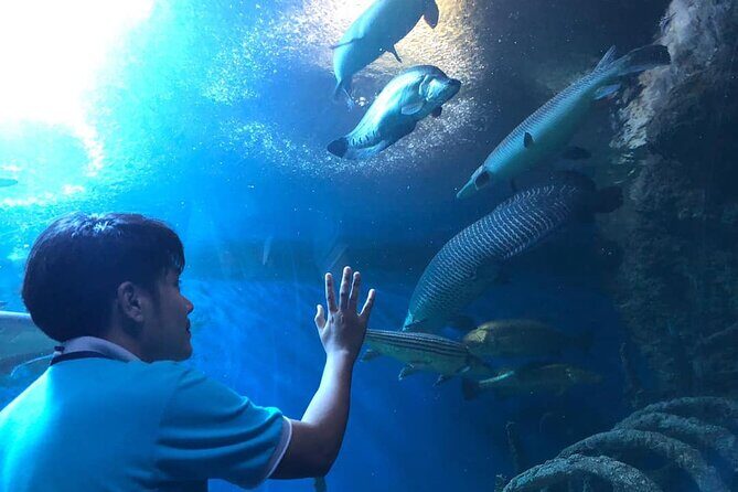 Pattaya Underwater World Tickets with Optional Hotel Pickup - The Coral Reef zone and the shark-and-ray lineup