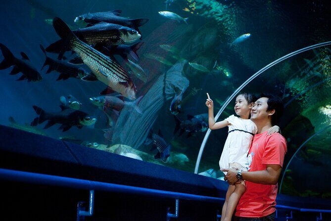 Pattaya Underwater World Tickets with Optional Hotel Pickup - Price and value: $12 isn’t a bargain, it’s a practical move