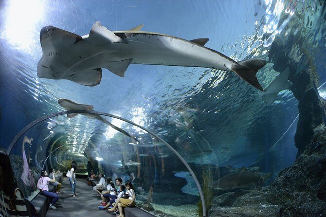 Pattaya Underwater World Tickets with Optional Hotel Pickup - Getting there with optional pickup, and why it matters in Pattaya