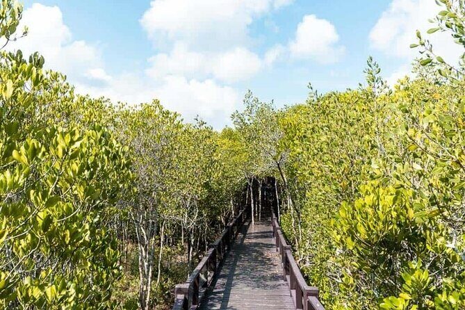Pranburi Forest Park and Khao Daeng Join Tour from Hua Hin - Pranburi Forest Park’s mangrove boardwalk: where you actually look around