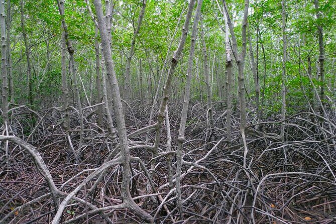 Pranburi Forest Park and Khao Daeng Join Tour from Hua Hin - How to prepare so the whole day feels good