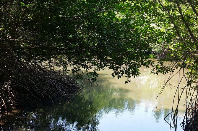 Pranburi Forest Park and Khao Daeng Join Tour from Hua Hin - Who should book this Pranburi + Khao Daeng tour
