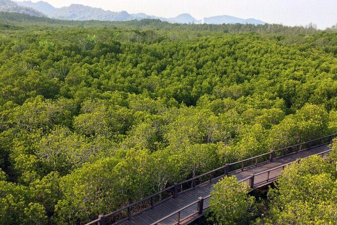 Pranburi Forest Park and Khao Daeng Join Tour from Hua Hin - Khao Daeng viewpoint in Khao Sam Roi Yot: steep climbs and big 360° rewards