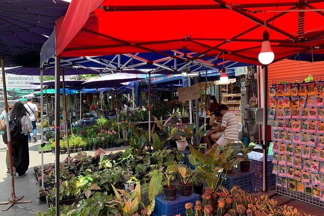 Private Exclusive Guided Chatuchak Weekend Market Shopping Tour - Shop With Confidence: Cash, Backpacks, and Checking for Damage