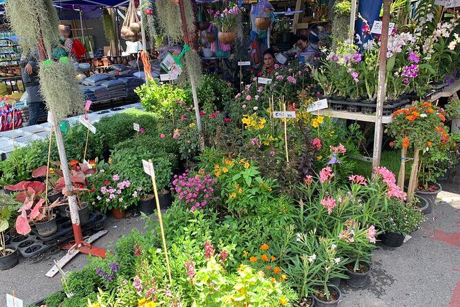 Private Exclusive Guided Chatuchak Weekend Market Shopping Tour - Lunch Break and Pace: The Private Advantage