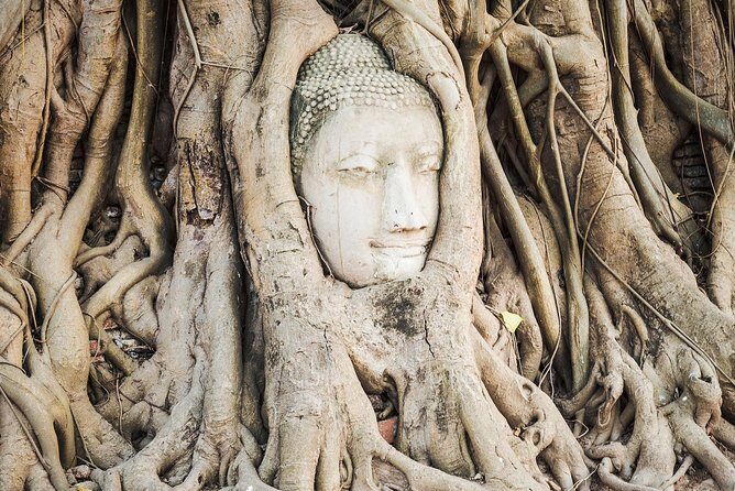 Private Tour: Ayutthaya Day Trip with Boat tour - Why the private guide changes everything (and not just for comfort)