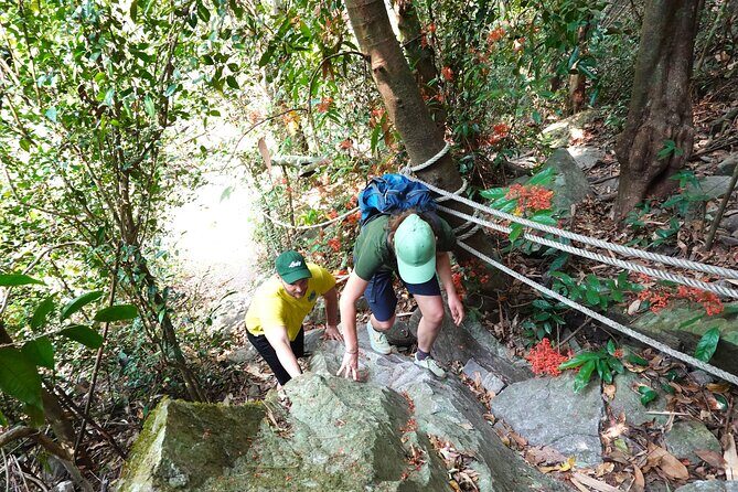 Rayong Adventure Full day Trip from Pattaya Tour - Fitness, weather, and what to bring for a smoother day