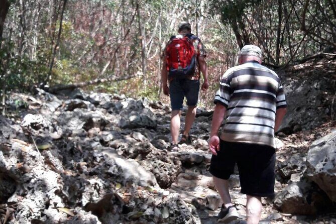 Sam Roi Yod National Park & Praya Nakhon Cave Join Group Tour - Price and value: is $81.49 a fair deal?