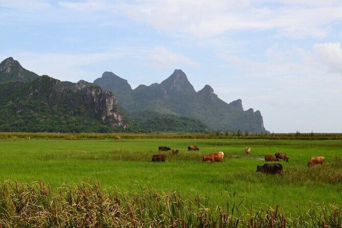 Sam Roi Yod National Park & Praya Nakhon Cave Private Tour from Hua Hin - Hitting the cave at the right moment: why the schedule is built this way