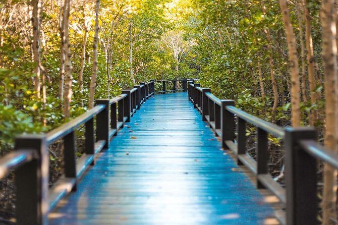 Scenic River Trip on the Pranburi River - Stop 2: Pranburi Forest Park and the river mouth area