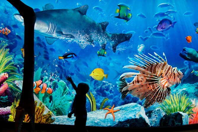 Sea Life Bangkok Ocean World Tickets - Key Highlights You’ll Care About