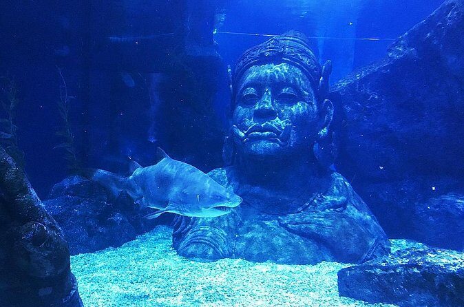 Sea Life Bangkok Ocean World Tickets - Stop 2: Siam Paragon—A Free Ticket to Recharge in Bangkok’s Big Mall