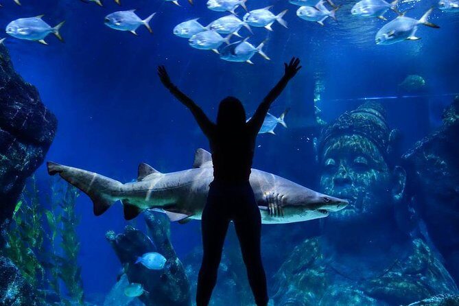 Sea Life Bangkok Ocean World Tickets - Best For: Families, Ocean Lovers, and People Who Want a Smooth Afternoon