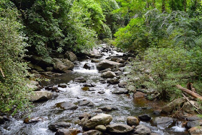 Small-Group Pala U Waterfall Jungle Tour from Hua Hin - Water Levels, Rain, and Footwear: Staying Safe on the Slippery Tiers