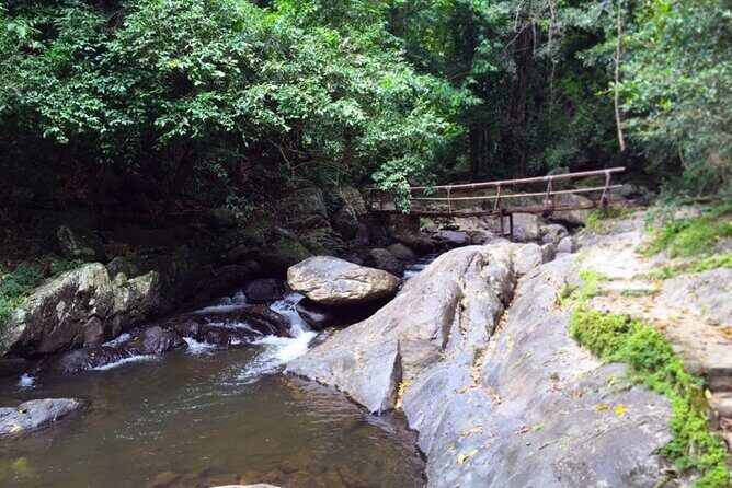 Small-Group Pala U Waterfall Jungle Tour from Hua Hin - Who Should Book This Jungle Tour—and Who Might Skip It