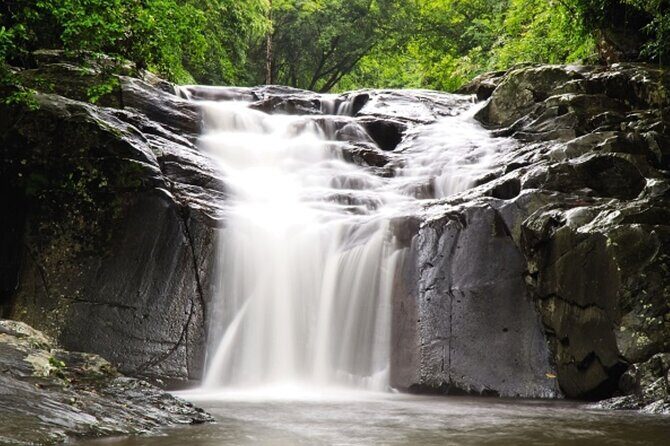Small-Group Pala U Waterfall Jungle Tour from Hua Hin - Pala U Waterfall in Kaeng Krachan: 11 Tiers of Jungle Paths and Wildlife