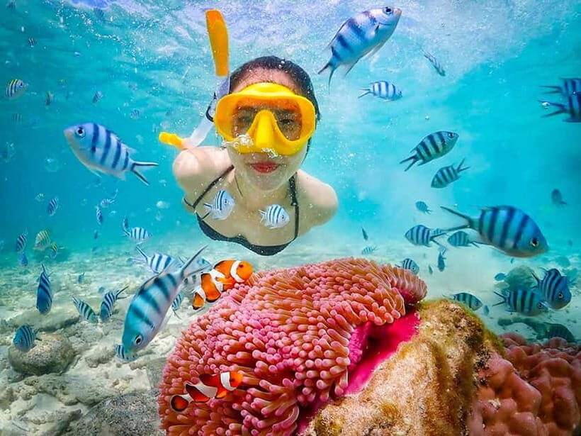 Snorkel & Chill: Nemo Island Trip from Pattaya - Key things to know before you go