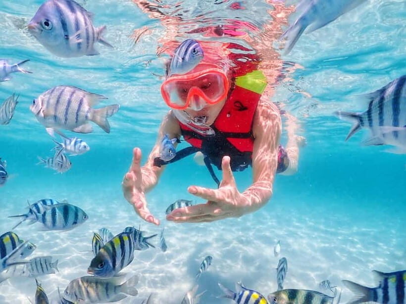 Snorkel & Chill: Nemo Island Trip from Pattaya - Gear and safety: fin rentals, a single-use mouthpiece, and life jackets