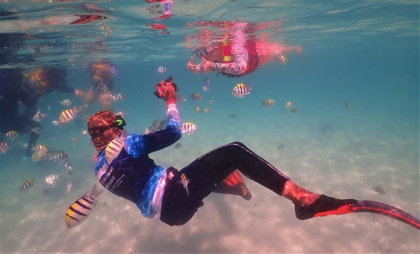 Snorkel & Chill: Nemo Island Trip from Pattaya - Price and value: why $41 adds up for what you get