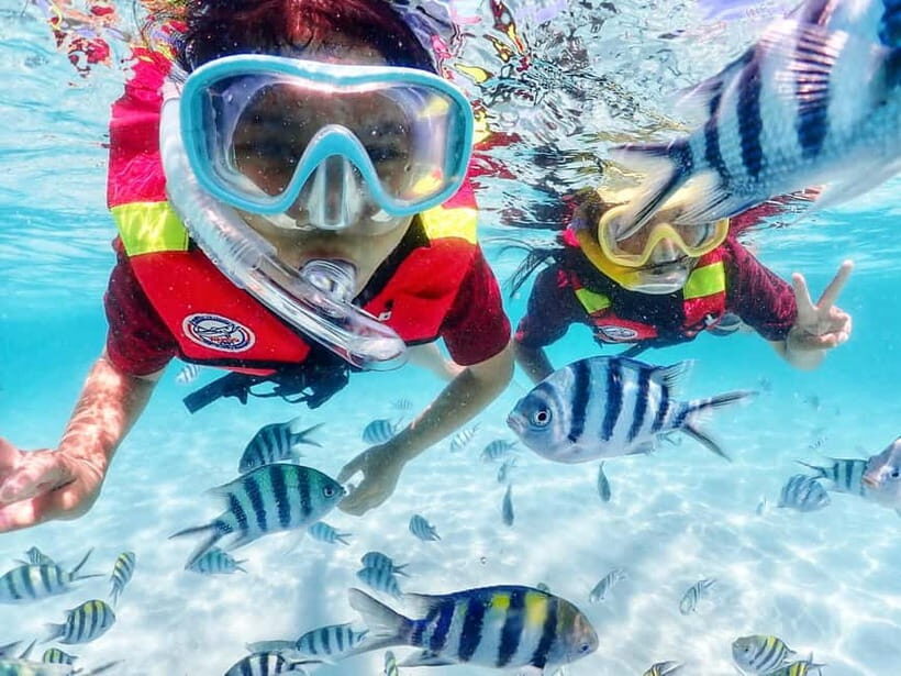 Snorkel & Chill: Nemo Island Trip from Pattaya - The small practical stuff that makes the day smoother