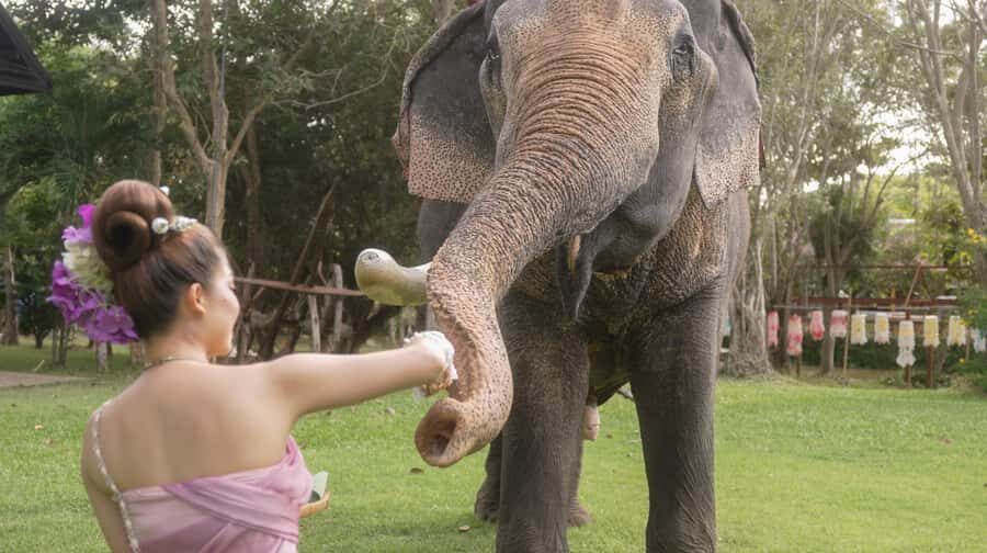 Thai Thani Cultural Village Admission Ticket ( PACKAGE - B ) - Key Things You’ll Notice in Package B